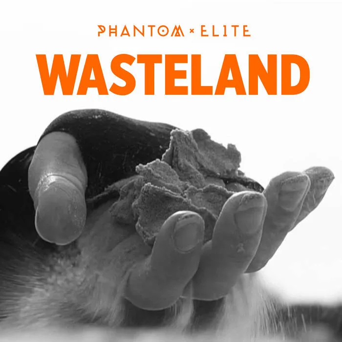 Wasteland cover