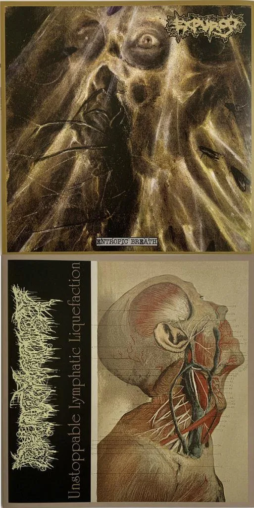Entropic Breath / Unstoppable Lymphatic Liquefaction cover