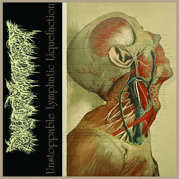 Unstoppable Lymphatic Liquefaction cover
