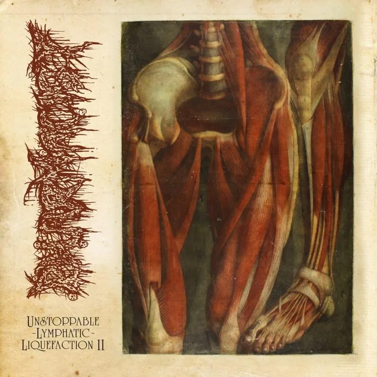Unstoppable Lymphatic Liquefaction II cover