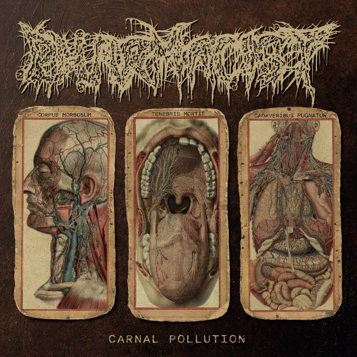 Carnal Pollution cover