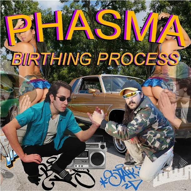 Birthing Process cover