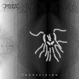 Transfixion cover