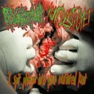 I Spit Phlegm into Your Mutilated Kunt cover