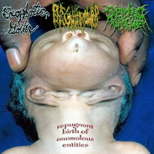 Repugnant Birth of Anomalous Entities cover
