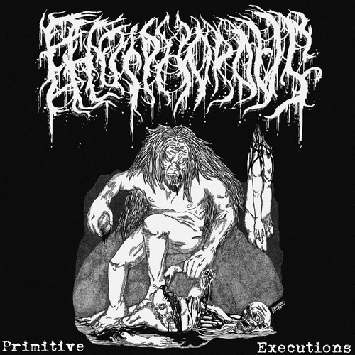 Primitive Executions cover