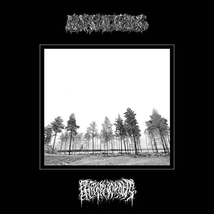 Norfulthing / Phosphorous cover