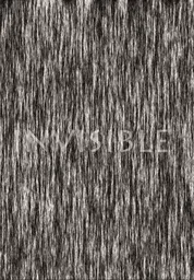 Invisible cover
