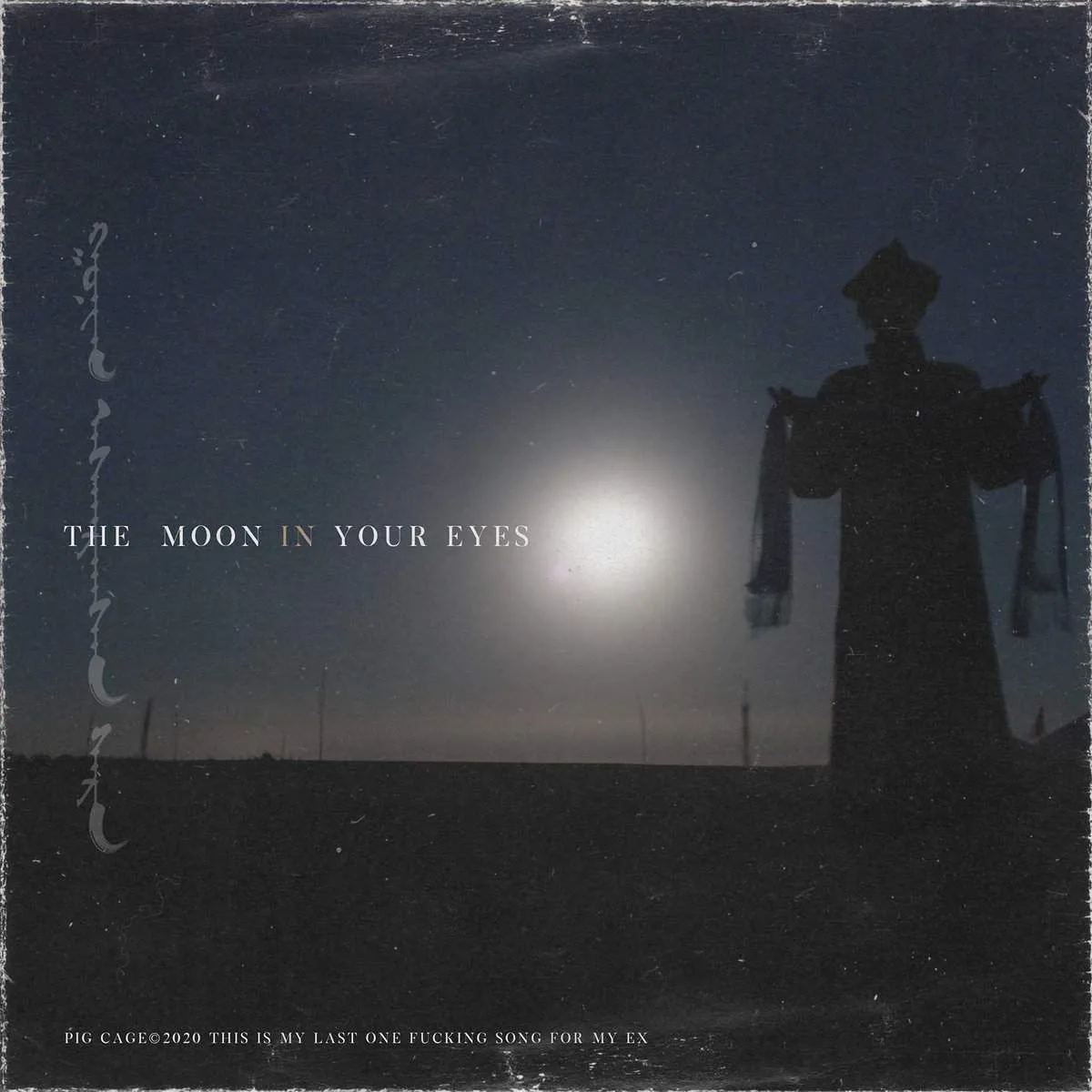 The Moon in Your Eyes cover