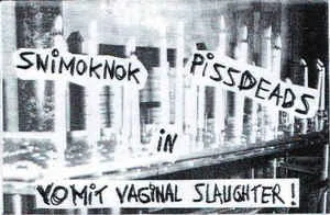 Vomitous Vaginal Slaughter cover