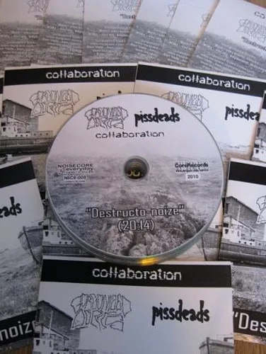 Destrukto-Noize cover