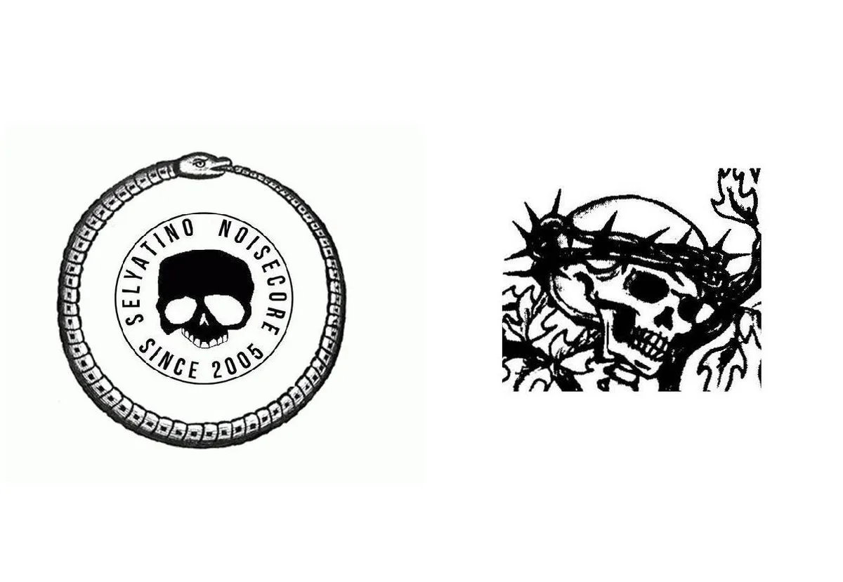 Destroyer of Dreams and Iillusions cover