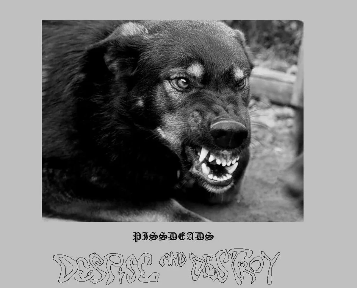 Despise and Destroy cover