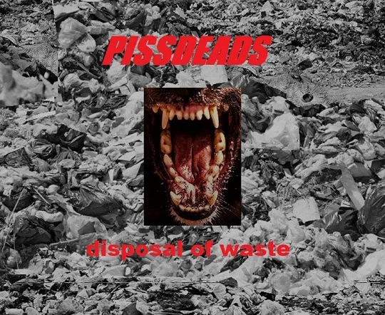 Disposal of Waste cover