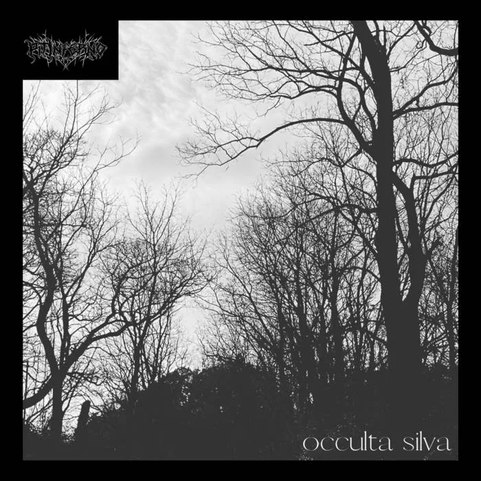 Occulta Silva cover