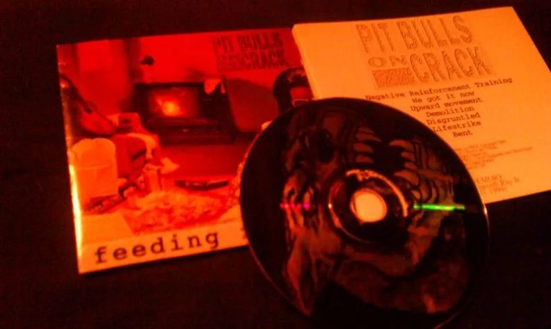 Feeding Frenzy cover