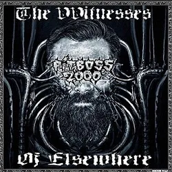 The Witnesses of Elsewhere cover