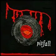 Pitfall cover