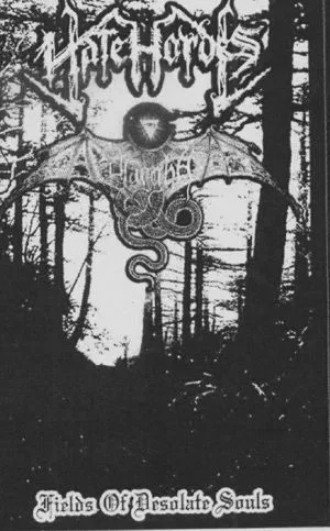 Fields of Desolate Souls cover