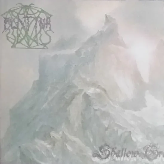 Shallow Grave cover
