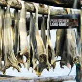 Lama-ajan lauluja cover