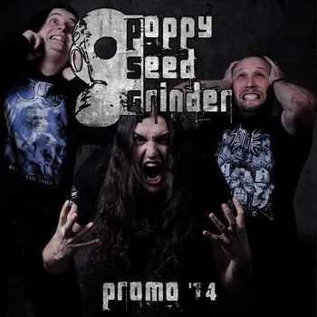 Promo 2014 cover