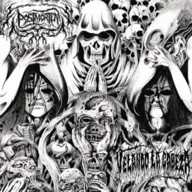 Velando la cabeza cover