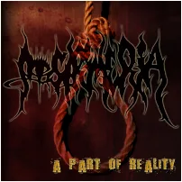 A Part of Reality cover
