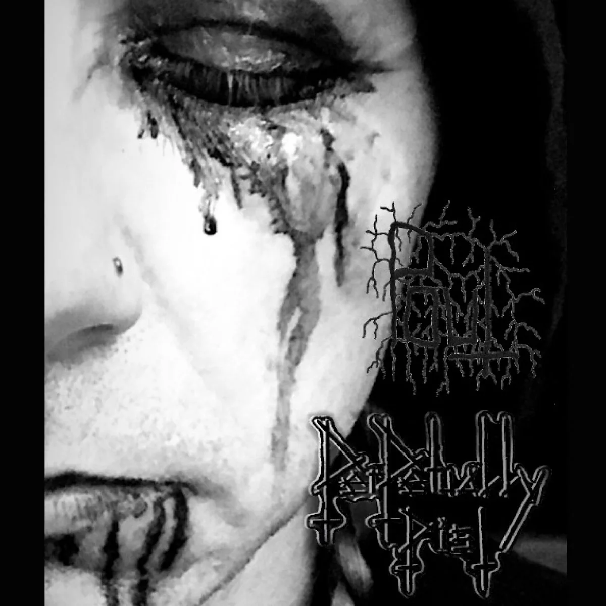 Split w/ Me cover