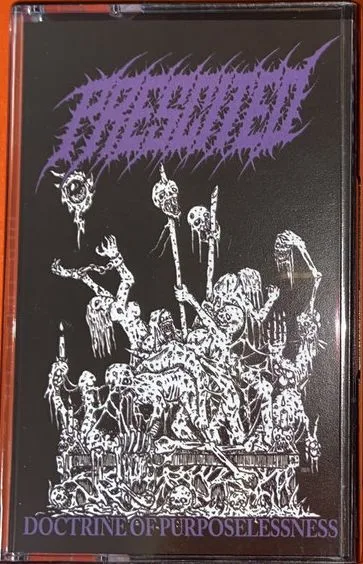 Doctrine of Purposelessness cover