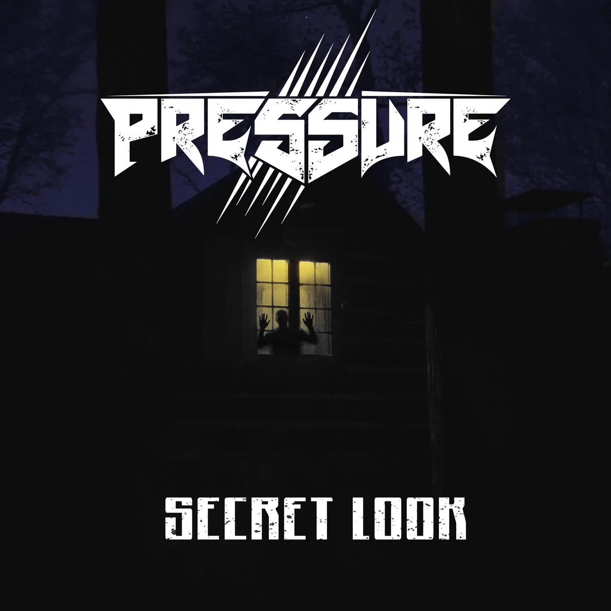 Secret Look cover
