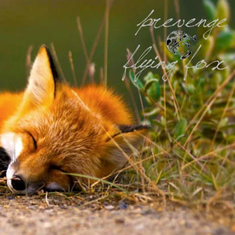 Flying Fox cover
