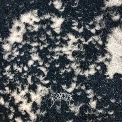 Void Caller cover