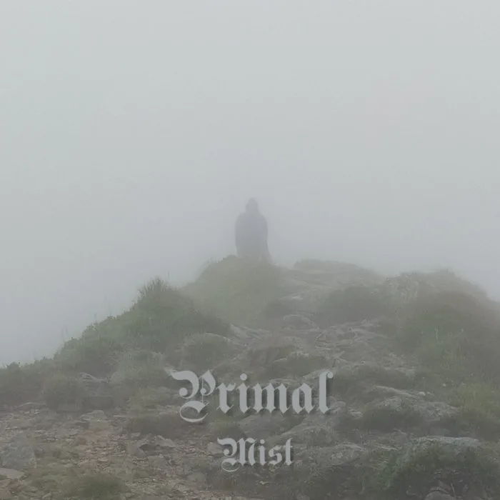 Mist cover