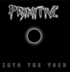 Into the Void cover