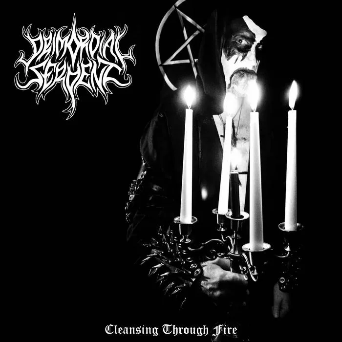 Cleansing Through Fire cover