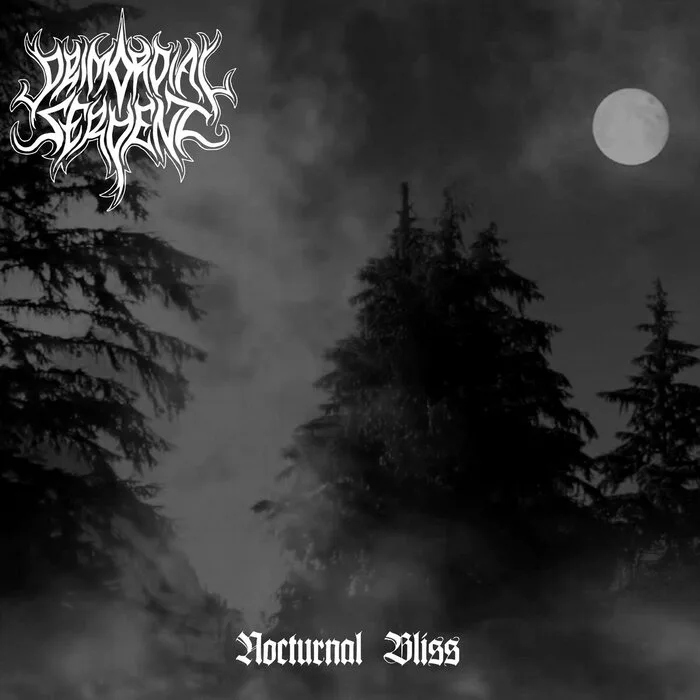 Nocturnal Bliss cover