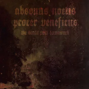 The Dimlit Path Downward cover