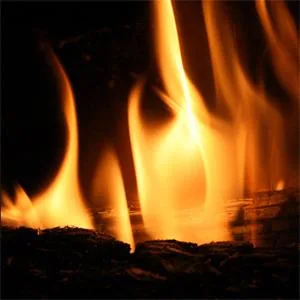 The Cold Gloaming cover