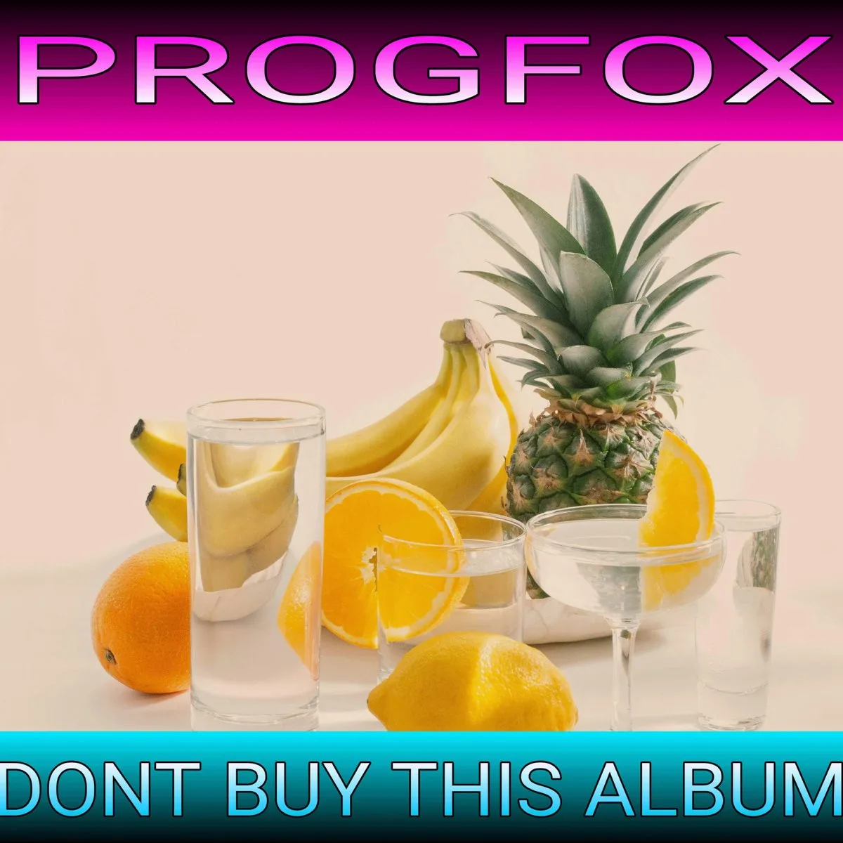 Don't Buy This Album cover