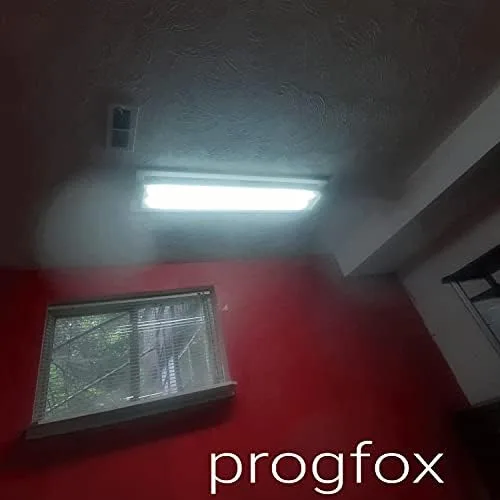 Shut the Fuck Up cover