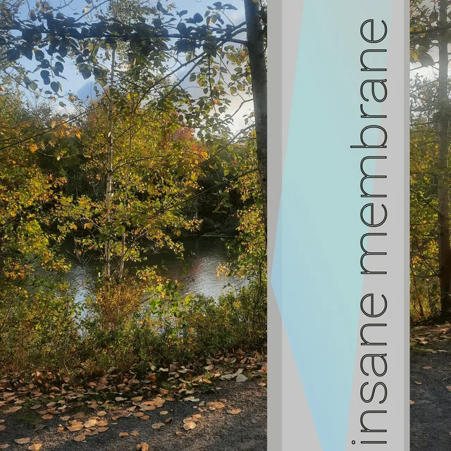 Insane Membrane (F.A. Version) cover