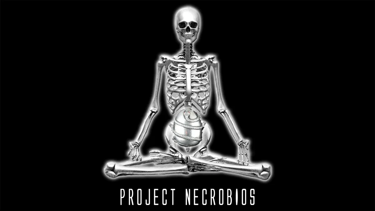 Illuminates of Thanateros cover