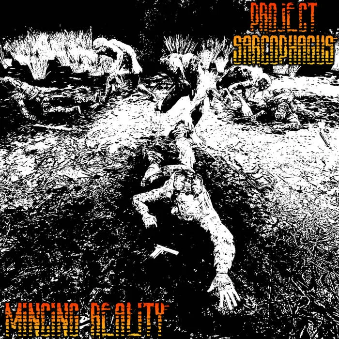 Mincing Reality cover