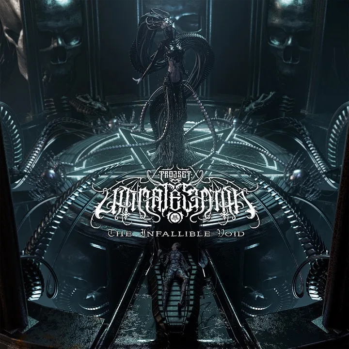 The Infallible Void cover