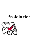 Proletarier cover