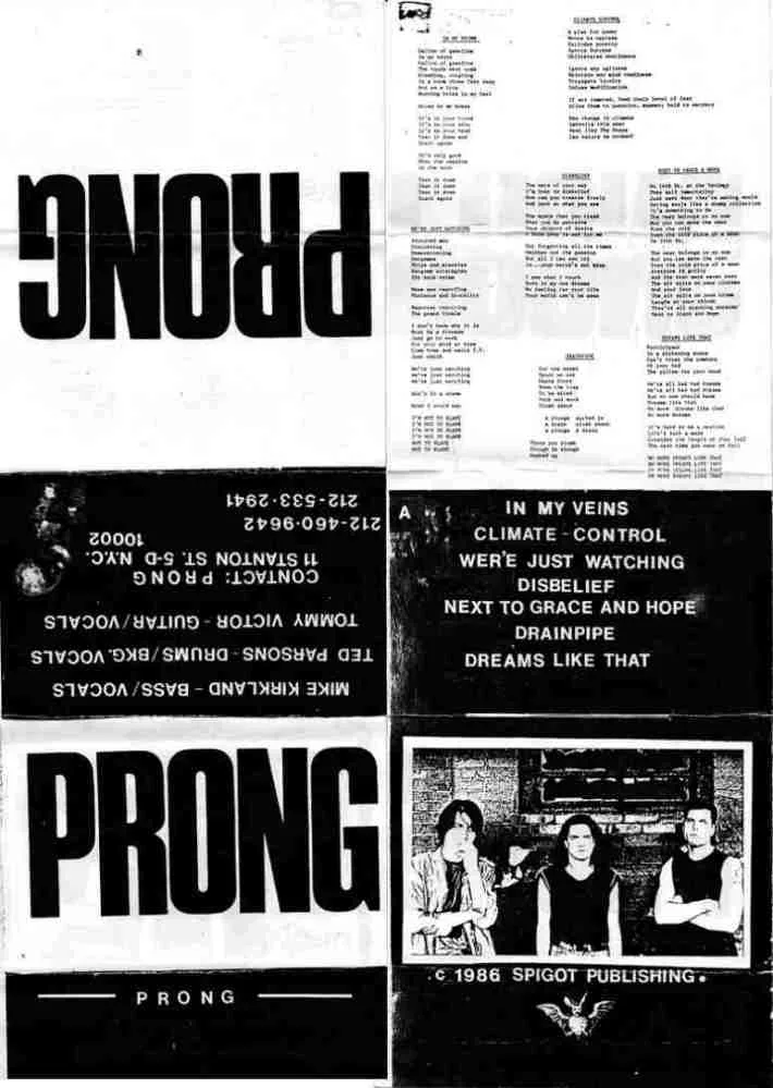 Prong cover