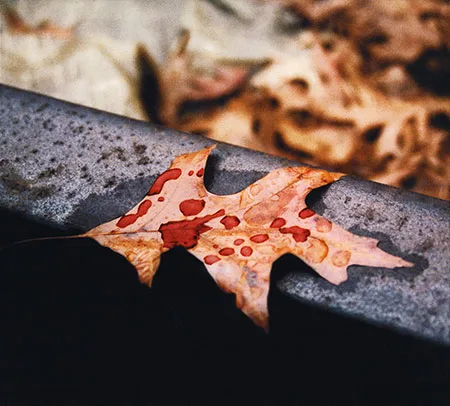 Broken Promise cover