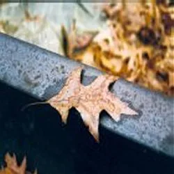 Fragile Prologue cover