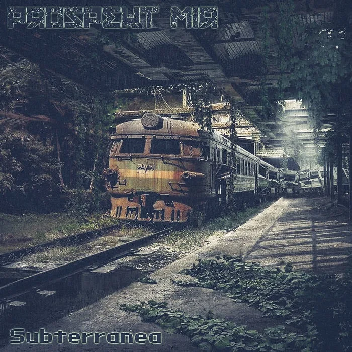 Subterranea cover